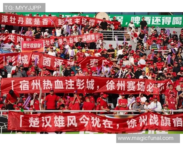 球迷文化的魅力与传承：从激情呐喊到全球社区的建设与发展